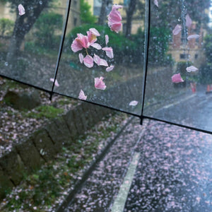 VEIMIA 雨でもお花見を満喫