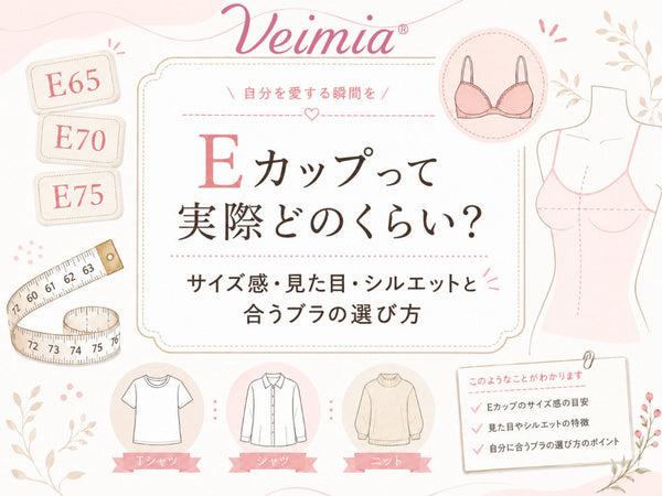 Eカップって実際どれくらいかを解説し、Eカップのサイズ感・見た目・シルエットと合うブラの選び方を紹介するVEIMIAブログのカバー画像