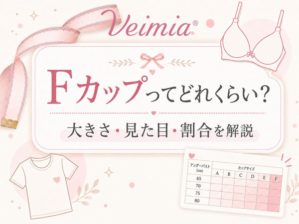 Fカップってどれくらいかを解説し、Fカップの大きさ・見た目・割合を紹介するVEIMIAブログのカバー画像