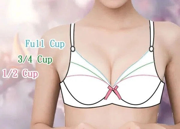 ブラの基礎知識：初心者のためのステップアップガイド