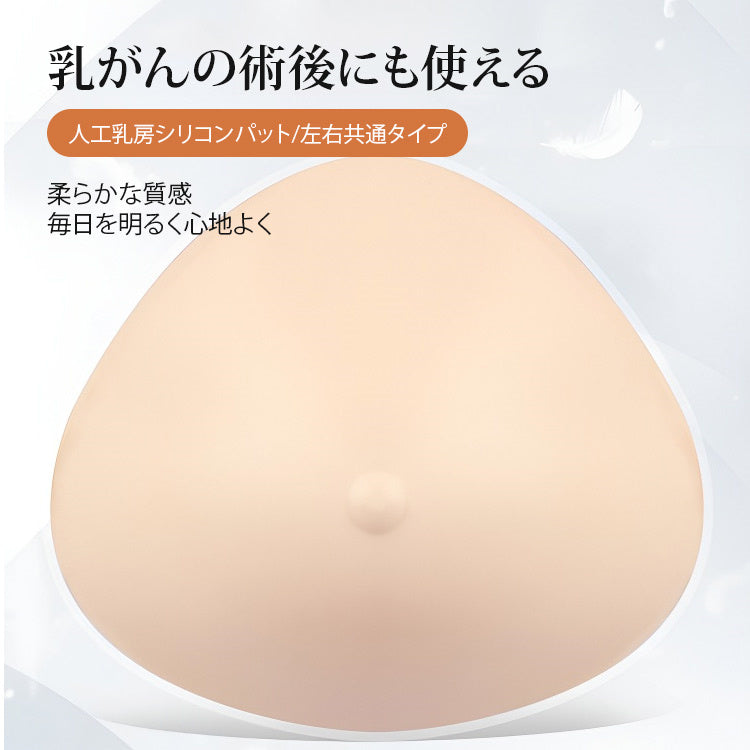 人工乳房（乳房切除手術用）