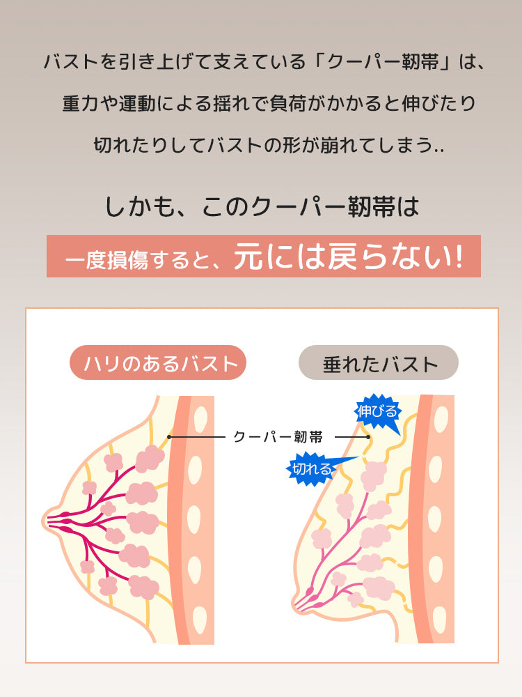 胸 を 小さく 見せる ブラ バストの対照 VEIMIA