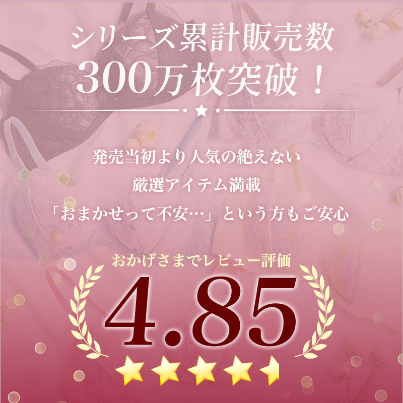 補正ブラ お任せ 福袋VEIMIA