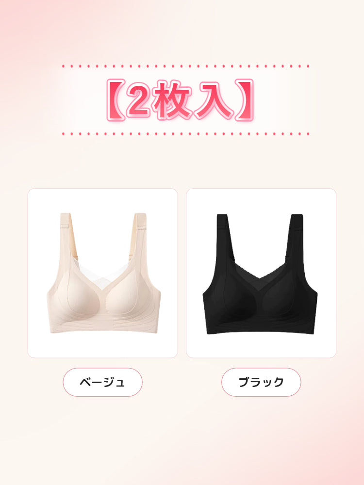 乳がん 下着 【2枚入】ベージュ&ブラック VEIMIA