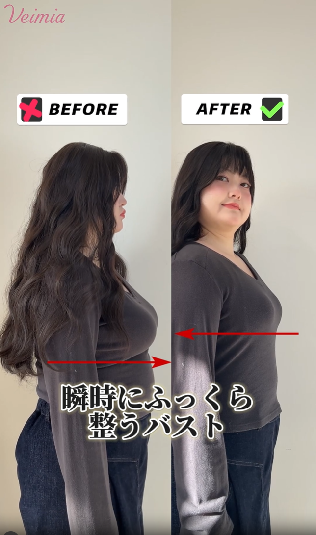 小さく見せるブラ 重力に負けない VEIMIA