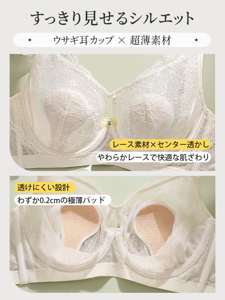 レースブラ すっきり見せるシルエット ヴェーミア
