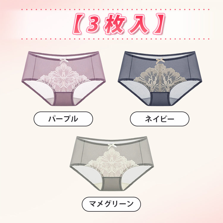 女性ショーツ 【3枚入】パープル&ネイビー&マメグリーン ヴェーミア