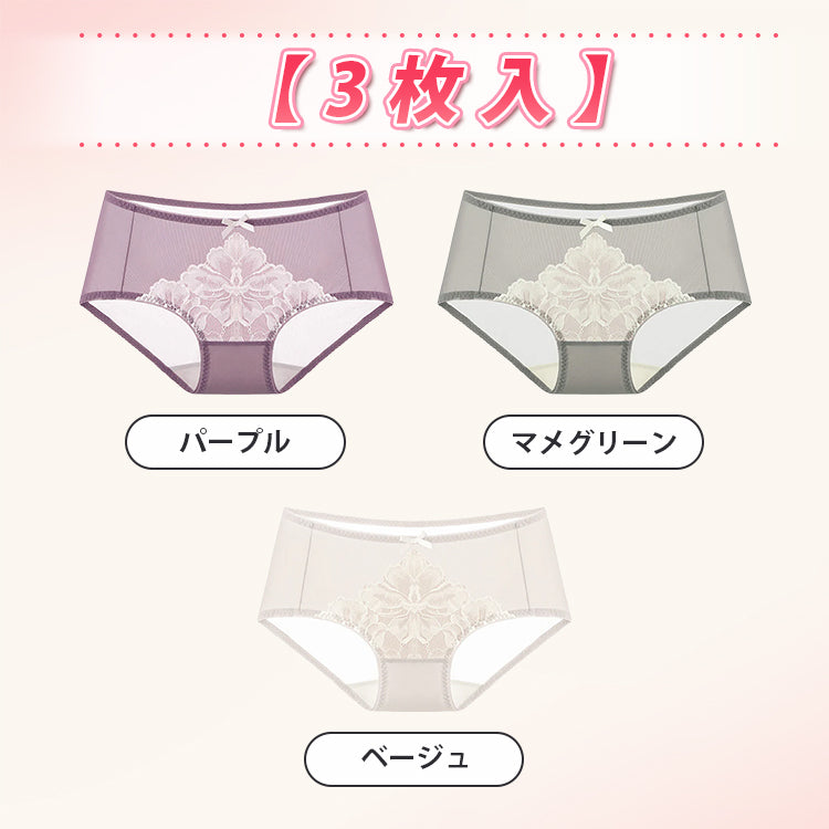 女性ショーツ 【3枚入】パープル&マメグリーン&ベージュ ヴェーミア