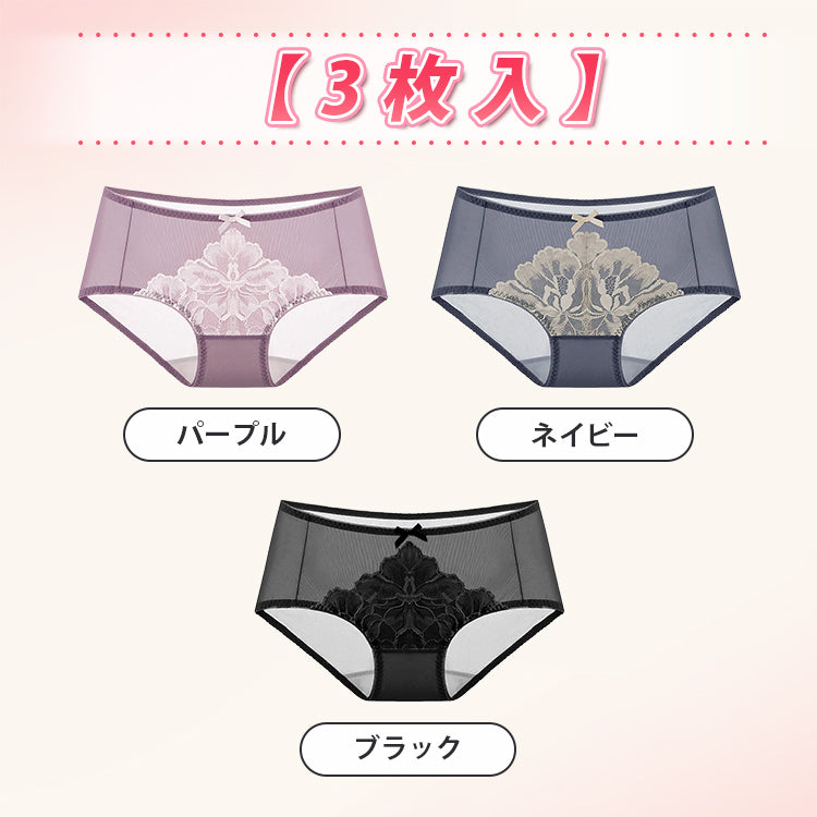 女性ショーツ 【3枚入】パープル&ネイビー&ブラック ヴェーミア