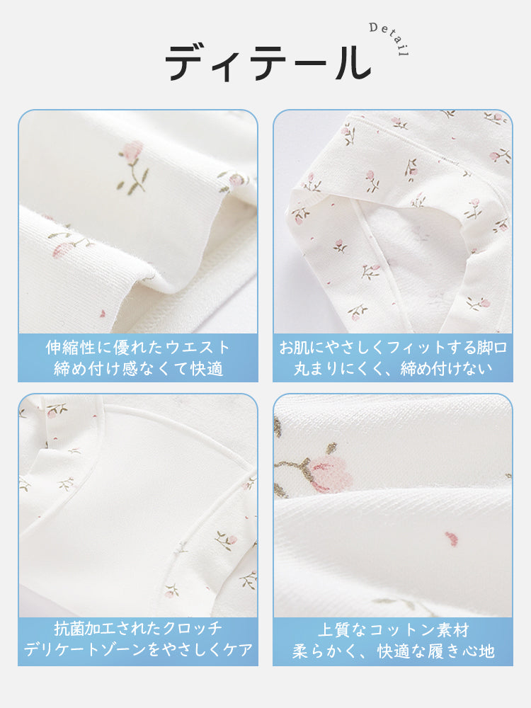 ショーツ ディテール ヴェーミア