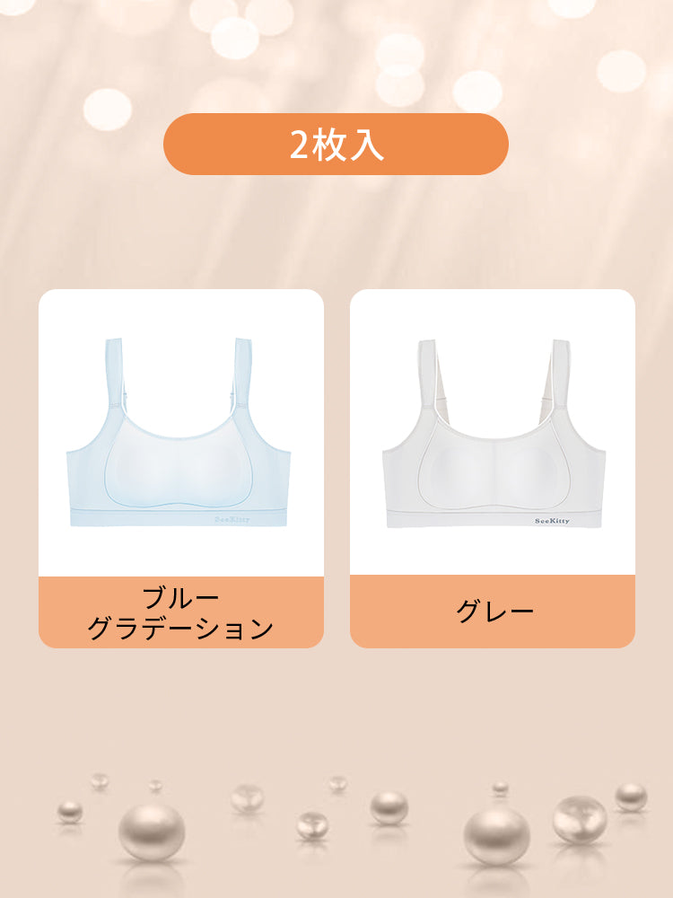 胸が小さく見えるブラ 【2枚入】ブルーグラデーション&グレー VEIMIA