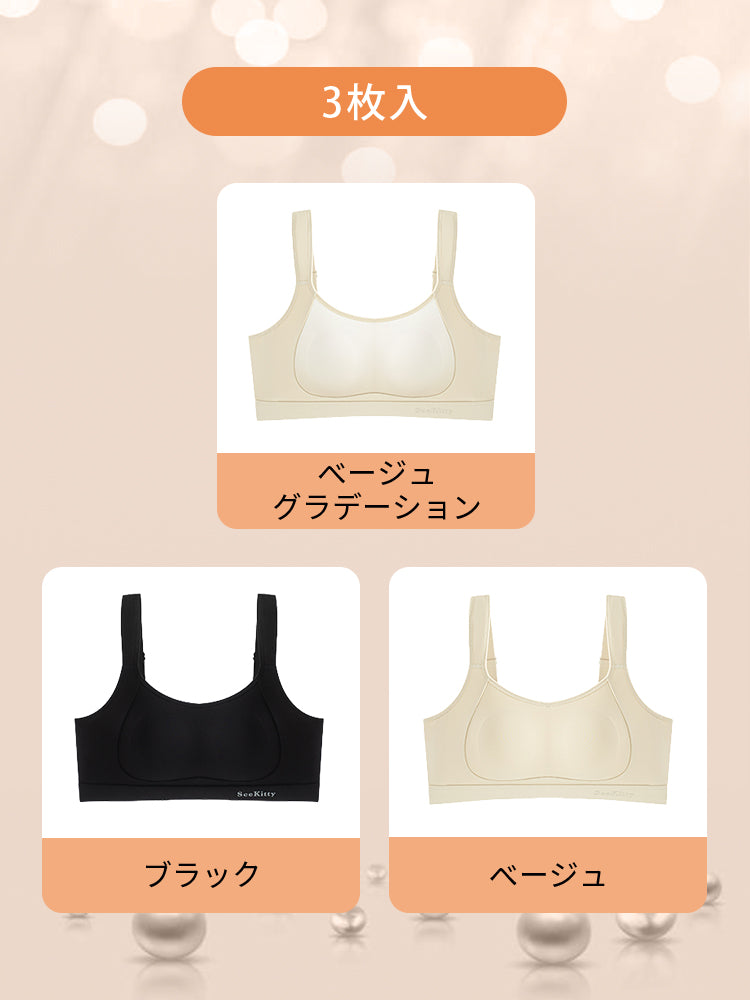 胸が小さく見えるブラ 【3枚入】ベージュグラデーション&ブラック&ベージュ VEIMIA