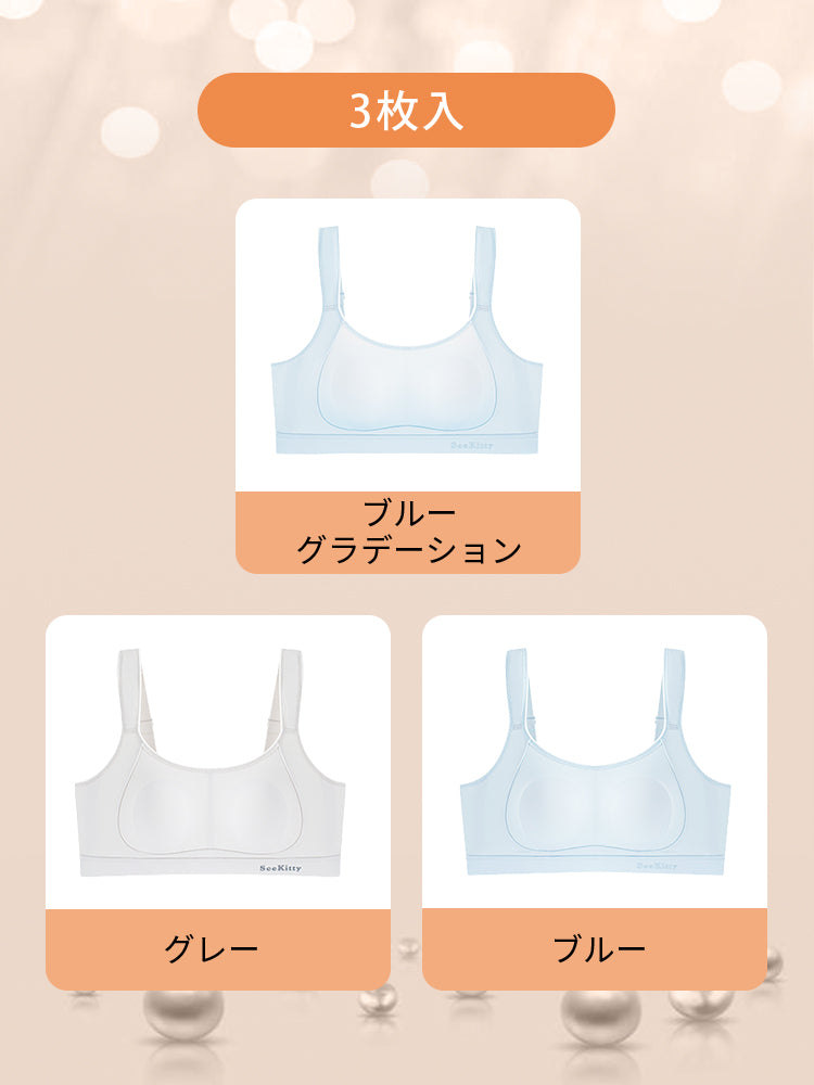 胸が小さく見えるブラ 【3枚入】ブルーグラデーション&グレー&ブルー VEIMIA