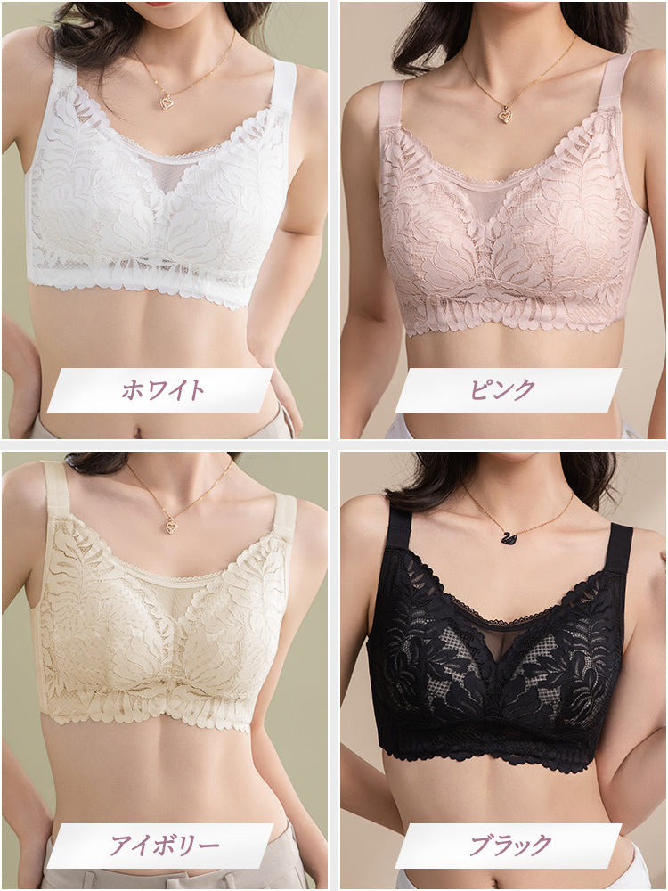 大きい サイズ ブラ カラーバリエーション ヴェーミア
