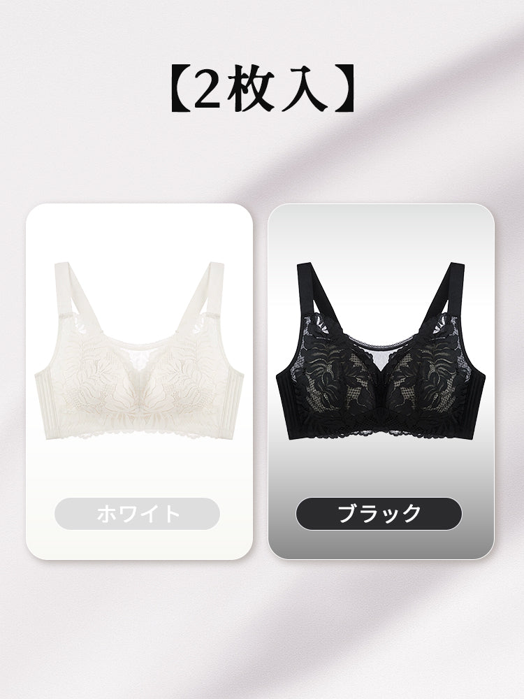 大きい サイズ ブラ 【2枚入】ホワイト&ブラック ヴェーミア