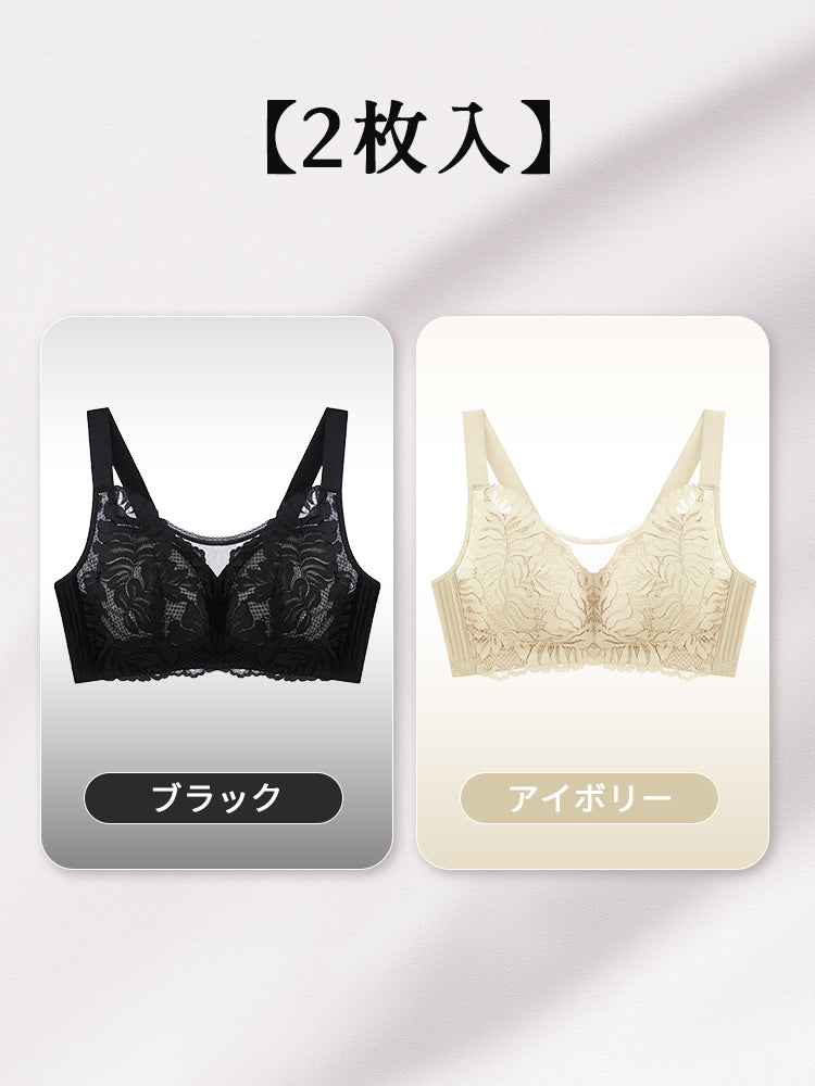 大きい サイズ ブラ 【2枚入】ブラック&アイボリー ヴェーミア