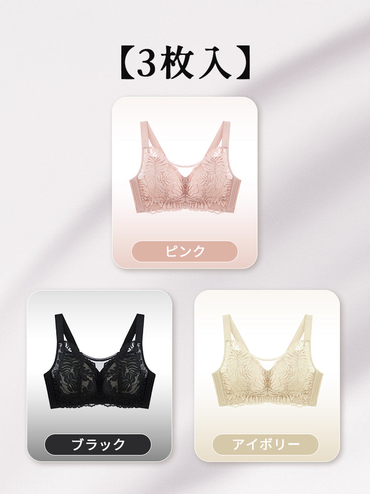 大きい サイズ ブラ 【3枚入】ピンク&ブラック& アイボリー ヴェーミア