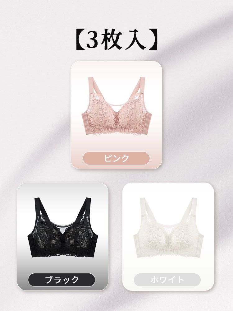大きい サイズ ブラ 【3枚入】ピンク&ブラック&ホワイト ヴェーミア