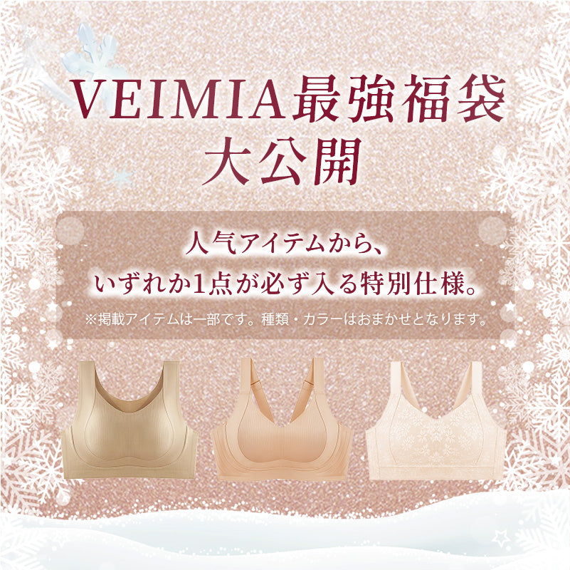小さく見せるブラ お任せ 福袋VEIMIA